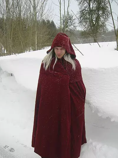 Eisenwölfe — Azadon